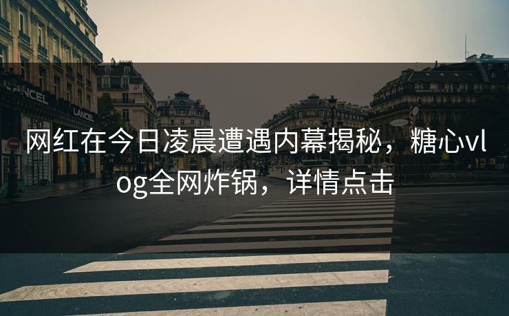 网红在今日凌晨遭遇内幕揭秘,糖心vlog全网炸锅,详情点击 网红在今日凌晨遭遇内幕揭秘,糖心vlog全网炸锅,详情点击