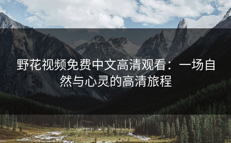 野花视频免费中文高清观看:一场自然与心灵的高清旅程 野花视频免费中文高清观看:一场自然与心灵的高清旅程