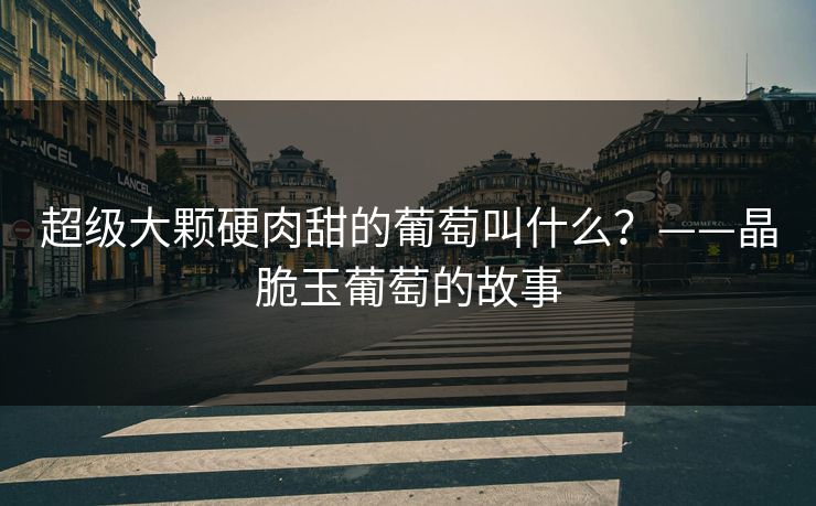 超级大颗硬肉甜的葡萄叫什么？——晶脆玉葡萄的故事