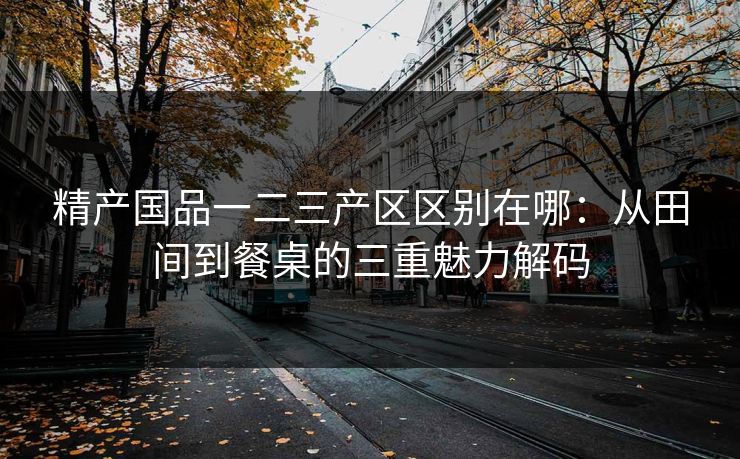 精产国品一二三产区区别在哪：从田间到餐桌的三重魅力解码