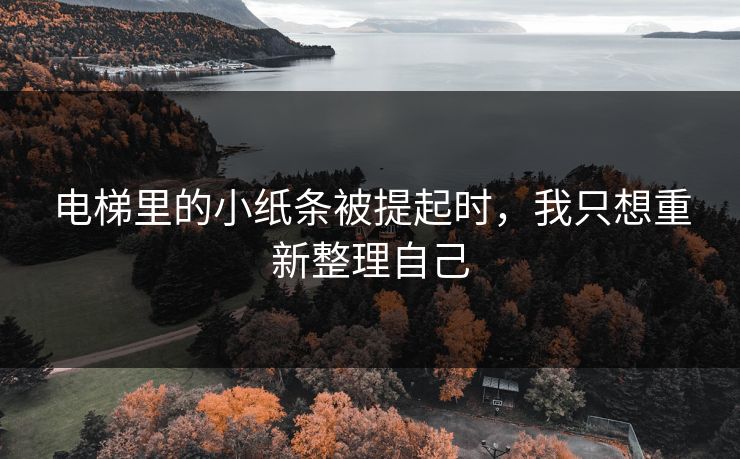 电梯里的小纸条被提起时，我只想重新整理自己