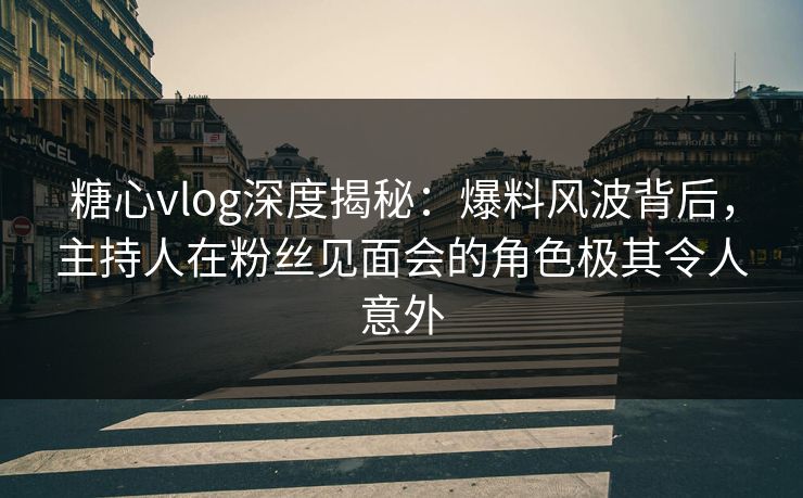 糖心vlog深度揭秘：爆料风波背后，主持人在粉丝见面会的角色极其令人意外