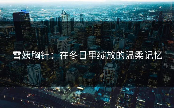 雪姨胸针：在冬日里绽放的温柔记忆